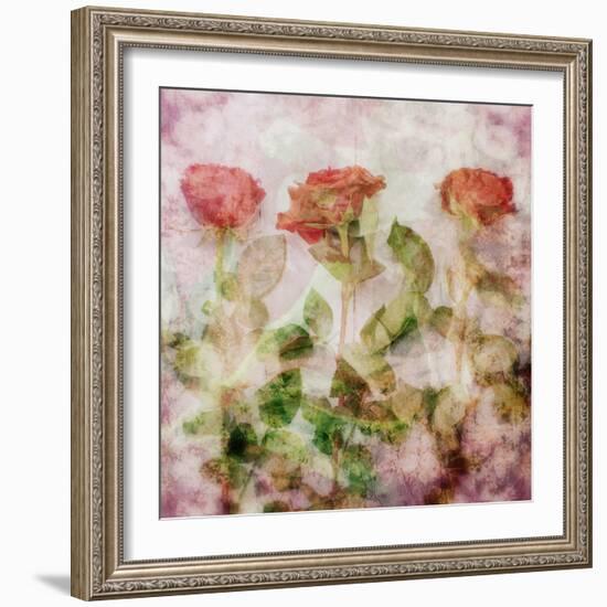 A Dreamy Floral Montage from Three Red Roses-Alaya Gadeh-Framed Photographic Print