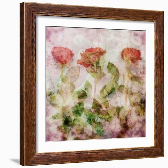 A Dreamy Floral Montage from Three Red Roses-Alaya Gadeh-Framed Photographic Print