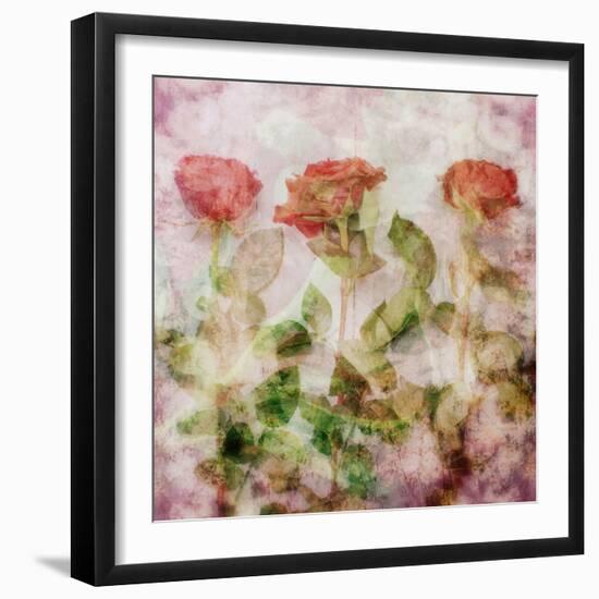 A Dreamy Floral Montage from Three Red Roses-Alaya Gadeh-Framed Photographic Print