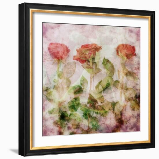 A Dreamy Floral Montage from Three Red Roses-Alaya Gadeh-Framed Photographic Print