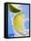 A Drink with Soda Water, Lemon and Ice-null-Framed Premier Image Canvas