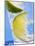 A Drink with Soda Water, Lemon and Ice-null-Mounted Photographic Print