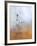 A Drop Fall-Heidi Westum-Framed Photographic Print