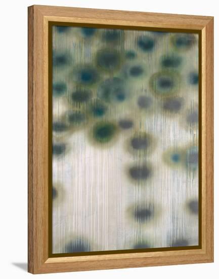A Drop in the Bucket-Liz Jardine-Framed Stretched Canvas