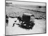 A Drover Travels with His Covered Wagon and Sheep on the Geelong-Baachus Marsh Road-null-Mounted Photographic Print