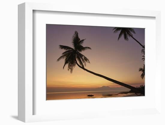 A dusk silhouette of coconut palms at Paliton beach, Siquijor, Philippines, Southeast Asia, Asia-Nigel Hicks-Framed Photographic Print