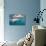 A Dusky Dolphin Swimming Off the Kaikoura Peninsula, New Zealand-James White-Photographic Print displayed on a wall