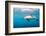 A Dusky Dolphin Swimming, South Island, New Zealand-James White-Framed Photographic Print