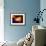 A Dying Star Turns Nova as it Blows Itself Apart-Stocktrek Images-Framed Photographic Print displayed on a wall