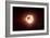 A Dying Star Which Will Soon Give New Beginning to a Black Hole-Stocktrek Images-Framed Art Print