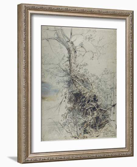 A Dying Tree, its Trunk Covered with Brambles, Beside a Fence, C.1618-20-Peter Paul Rubens-Framed Giclee Print