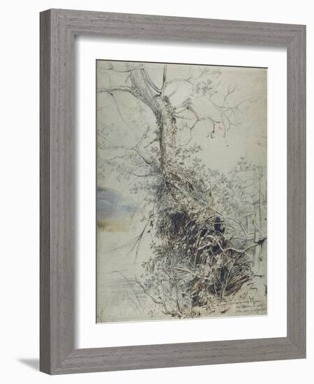 A Dying Tree, its Trunk Covered with Brambles, Beside a Fence, C.1618-20-Peter Paul Rubens-Framed Giclee Print