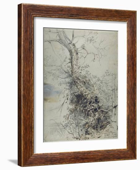 A Dying Tree, its Trunk Covered with Brambles, Beside a Fence, C.1618-20-Peter Paul Rubens-Framed Giclee Print