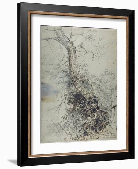 A Dying Tree, its Trunk Covered with Brambles, Beside a Fence, C.1618-20-Peter Paul Rubens-Framed Giclee Print