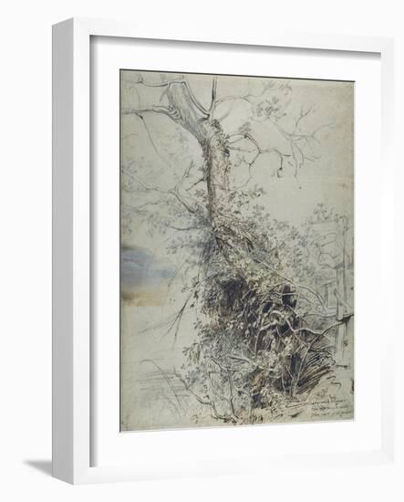 A Dying Tree, its Trunk Covered with Brambles, Beside a Fence, C.1618-20-Peter Paul Rubens-Framed Giclee Print