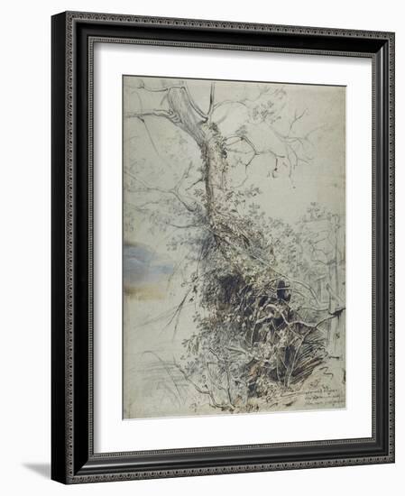 A Dying Tree, its Trunk Covered with Brambles, Beside a Fence, C.1618-20-Peter Paul Rubens-Framed Giclee Print