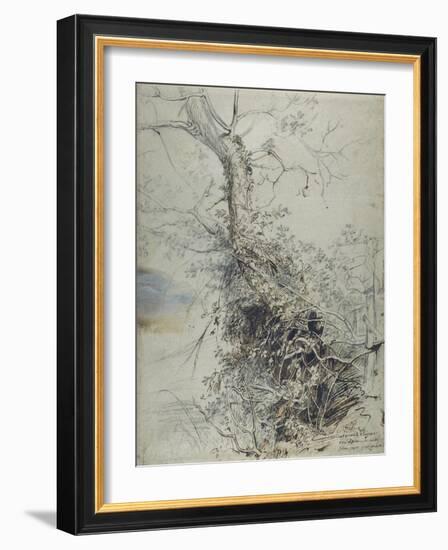 A Dying Tree, its Trunk Covered with Brambles, Beside a Fence, C.1618-20-Peter Paul Rubens-Framed Giclee Print