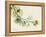 A Eucalyptus Moment-Albert Koetsier-Framed Stretched Canvas