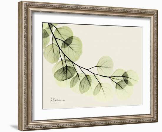 A Eucalyptus Moment-Albert Koetsier-Framed Art Print