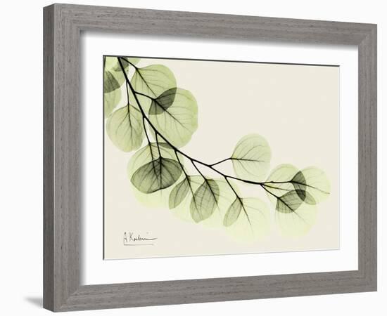 A Eucalyptus Moment-Albert Koetsier-Framed Art Print