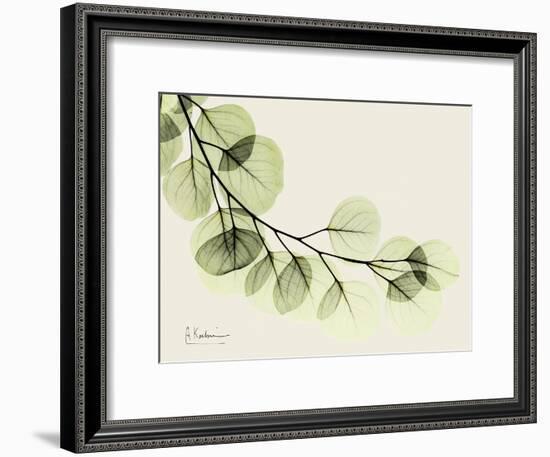 A Eucalyptus Moment-Albert Koetsier-Framed Art Print