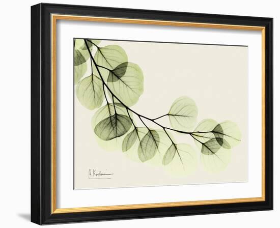 A Eucalyptus Moment-Albert Koetsier-Framed Art Print