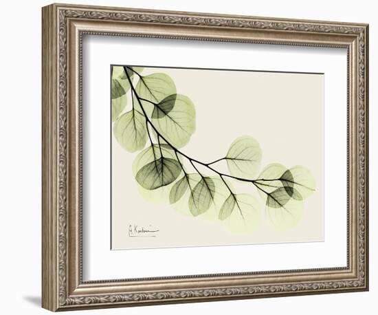 A Eucalyptus Moment-Albert Koetsier-Framed Art Print