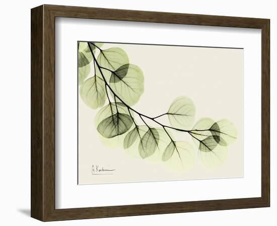 A Eucalyptus Moment-Albert Koetsier-Framed Premium Giclee Print