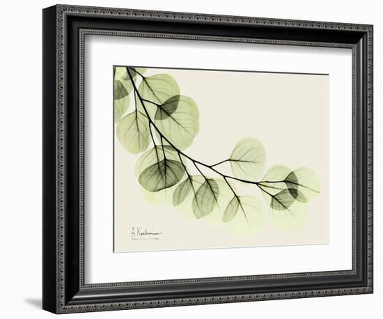 A Eucalyptus Moment-Albert Koetsier-Framed Premium Giclee Print