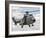 A Eurocopter AS332 Super Puma Helicopter of the Brazilian Navy-Stocktrek Images-Framed Photographic Print