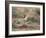 A European Stonechat Rests on a Twig in Richmond Park-Alex Saberi-Framed Photographic Print