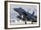 A F-15E Strike Eagle of the U.S. Air Force Uses Aero Braking after Landing-Stocktrek Images-Framed Photographic Print