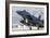 A F-15E Strike Eagle of the U.S. Air Force Uses Aero Braking after Landing-Stocktrek Images-Framed Photographic Print