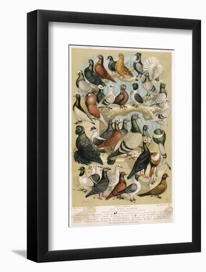 Photographic Print, , large