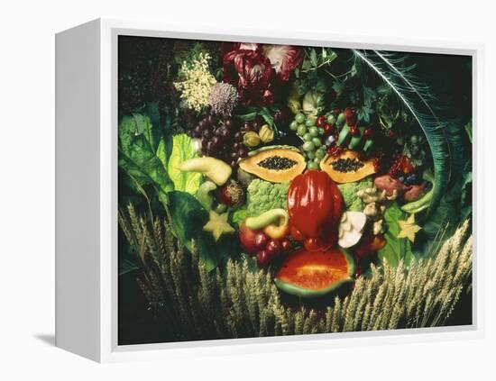 A Face Made from Vegetables and Fruit-jovandenberg-Framed Premier Image Canvas