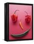 A Face Made of Chilli Peppers-Malgorzata Stepien-Framed Premier Image Canvas