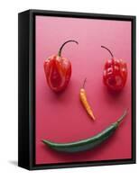 A Face Made of Chilli Peppers-Malgorzata Stepien-Framed Premier Image Canvas
