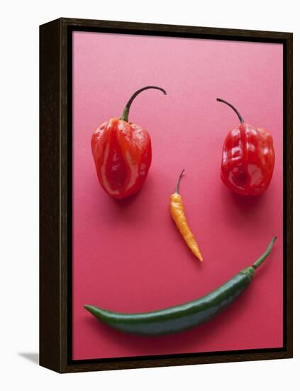 A Face Made of Chilli Peppers-Malgorzata Stepien-Framed Premier Image Canvas