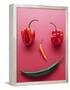 A Face Made of Chilli Peppers-Malgorzata Stepien-Framed Premier Image Canvas