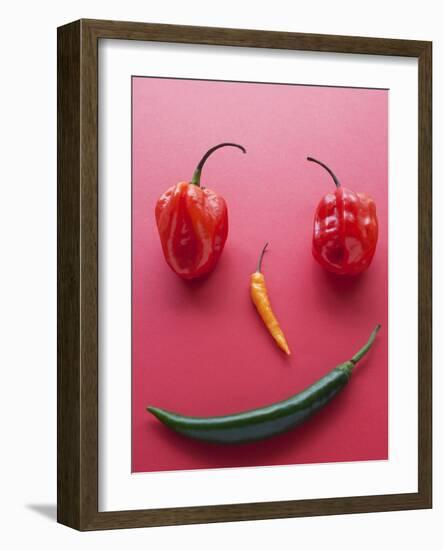 A Face Made of Chilli Peppers-Malgorzata Stepien-Framed Photographic Print