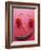A Face Made of Chilli Peppers-Malgorzata Stepien-Framed Photographic Print