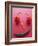 A Face Made of Chilli Peppers-Malgorzata Stepien-Framed Photographic Print