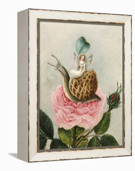 A Fairy Holding a Leaf, Sitting on a Snail Above a Rose-Amelia Jane Murray-Framed Premier Image Canvas