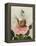 A Fairy Holding a Leaf, Sitting on a Snail Above a Rose-Amelia Jane Murray-Framed Premier Image Canvas