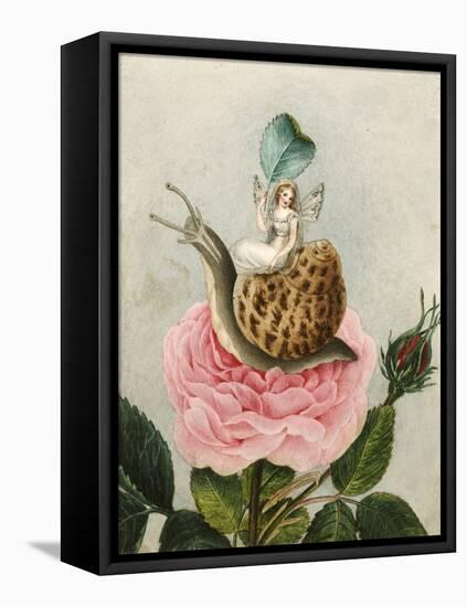 A Fairy Holding a Leaf, Sitting on a Snail Above a Rose-Amelia Jane Murray-Framed Premier Image Canvas