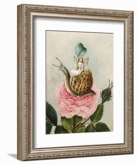 A Fairy Holding a Leaf, Sitting on a Snail Above a Rose-Amelia Jane Murray-Framed Giclee Print