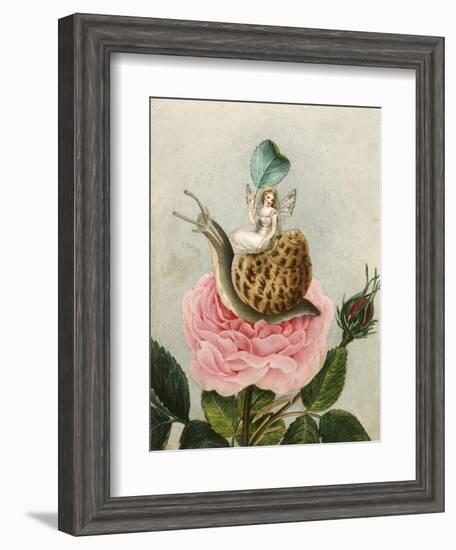 A Fairy Holding a Leaf, Sitting on a Snail Above a Rose-Amelia Jane Murray-Framed Giclee Print