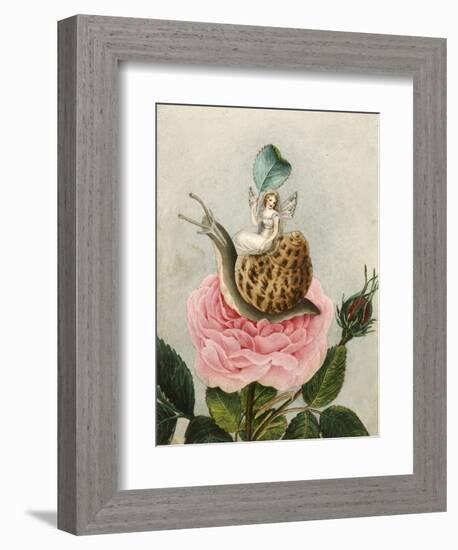 A Fairy Holding a Leaf, Sitting on a Snail Above a Rose-Amelia Jane Murray-Framed Giclee Print