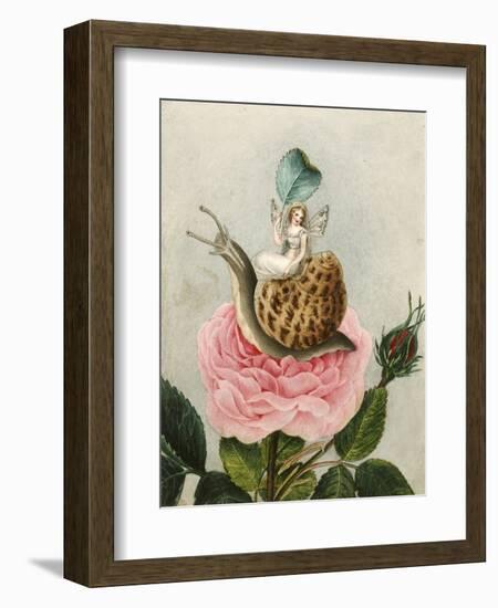 A Fairy Holding a Leaf, Sitting on a Snail Above a Rose-Amelia Jane Murray-Framed Giclee Print