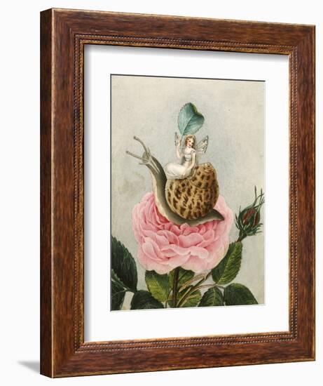 A Fairy Holding a Leaf, Sitting on a Snail Above a Rose-Amelia Jane Murray-Framed Giclee Print